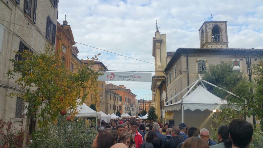 Fiera Nazionale del Tartufo bianco pregiato di Pergola