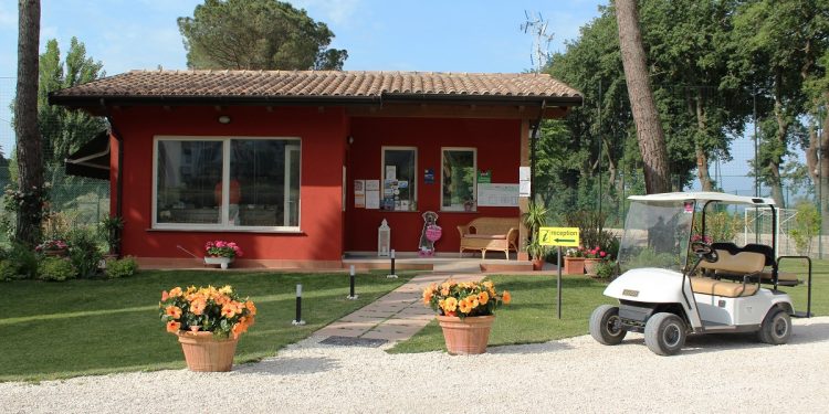 Camping-Trasimeno