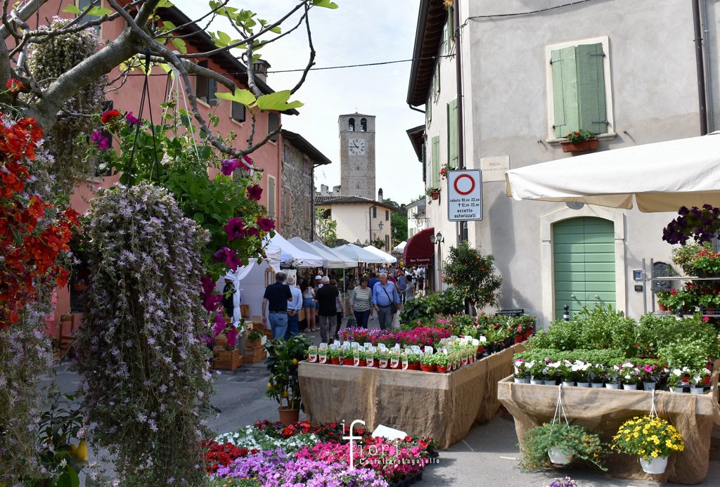 fiori
