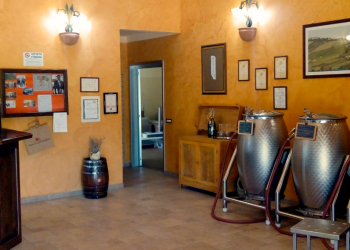 immagine cantina sgaly