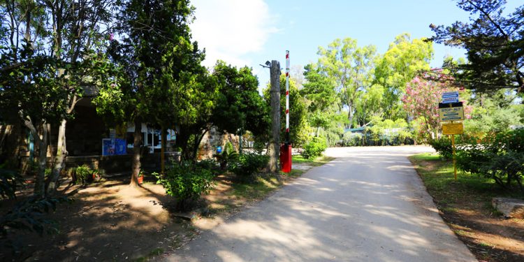 ingresso camping village