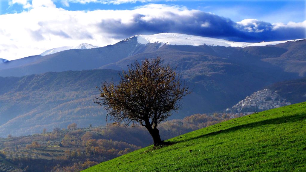 eventi