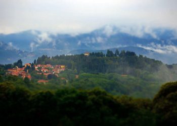 settimana del quadrifoglio