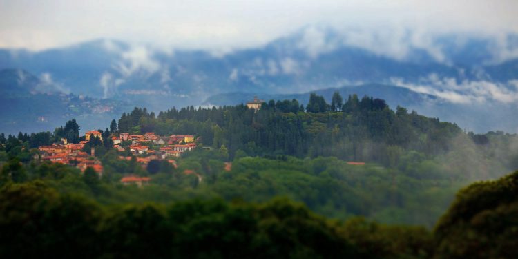 settimana del quadrifoglio