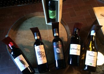 foto azienda poggio al gello