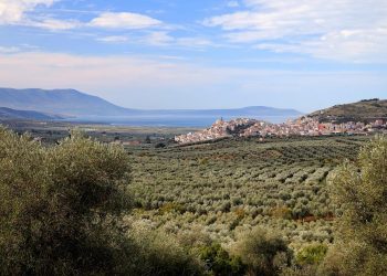 Nuova convenzione tessera turit con l’Agriturismo L’Oasi (Foggia)