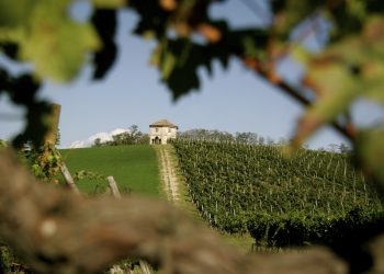 Oltrepò Summer Festival