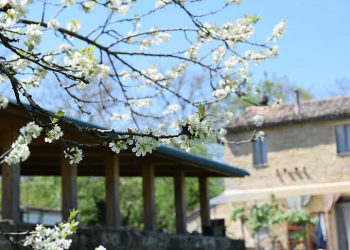 Nuova Convenzione Tessera Turit con l’Azienda Agricola D’Alessio (Staffolo – AN)
