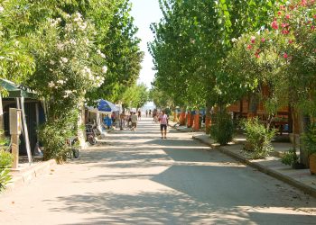 Nuova Convenzione Tessera Turit Camping La Pineta (Campobasso)