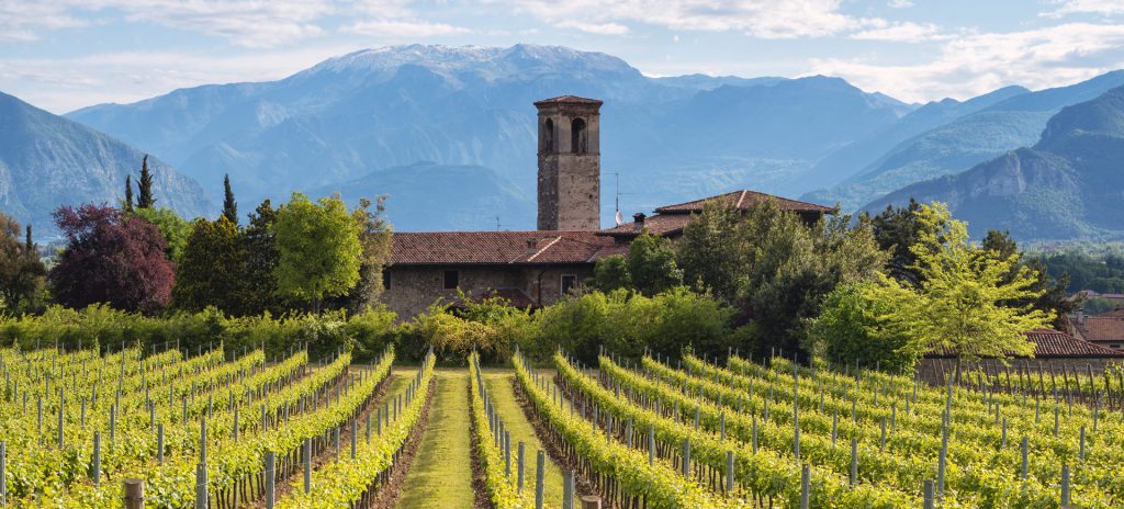 Franciacorta in Cantina