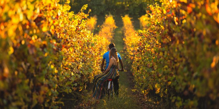 Franciacorta in Cantina