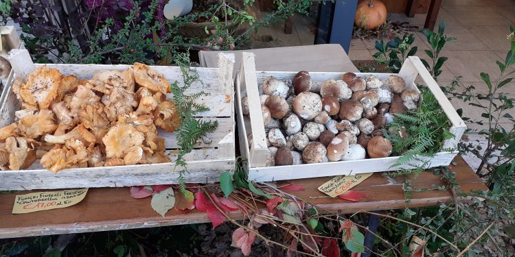 I migliori eventi da non perdere nel fine settimana 8-9-10 novembre