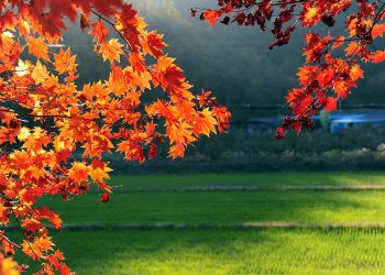 I migliori eventi da non perdere nel fine settimana 6-7-8 dicembre