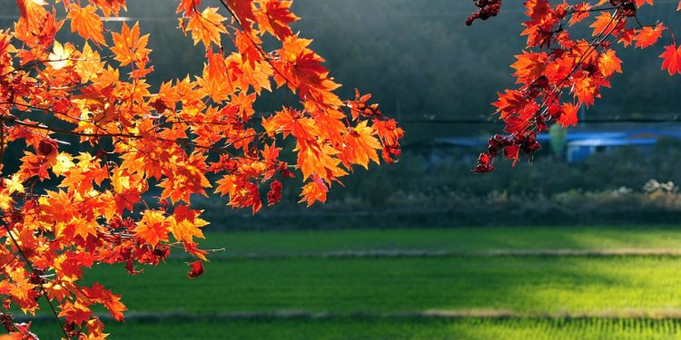 I migliori eventi da non perdere nel fine settimana 6-7-8 dicembre