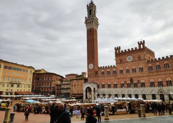 il mercato nel campo