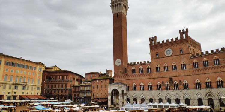 il mercato nel campo