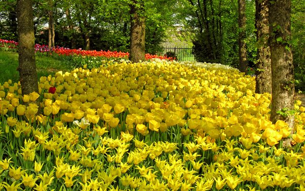 In Piemonte tra i colori primaverili del Castello di Pralormo (TO)