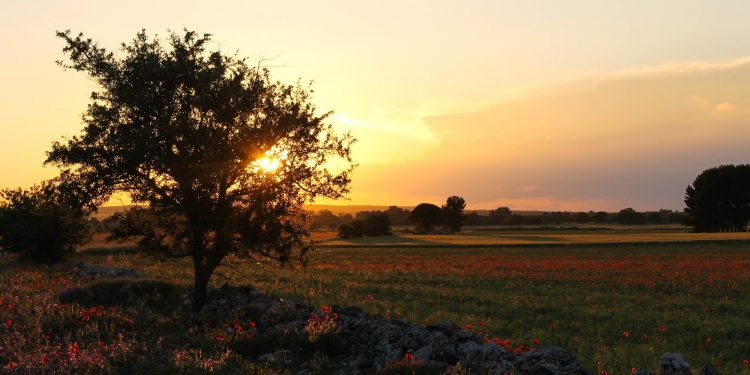 Puglia: una gastronomia…davvero Imperiale!