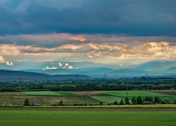 Il danno dal provvedimento comunale restrittivo