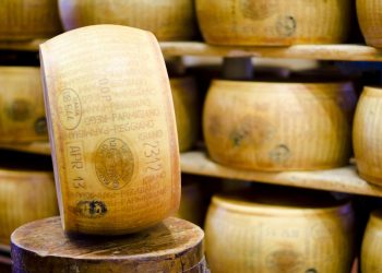 Alla scoperta del Parmigiano Reggiano in camper