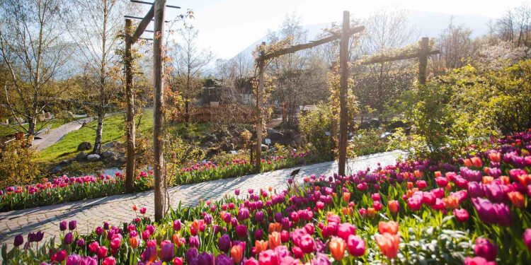 Castel Trauttmansdorff