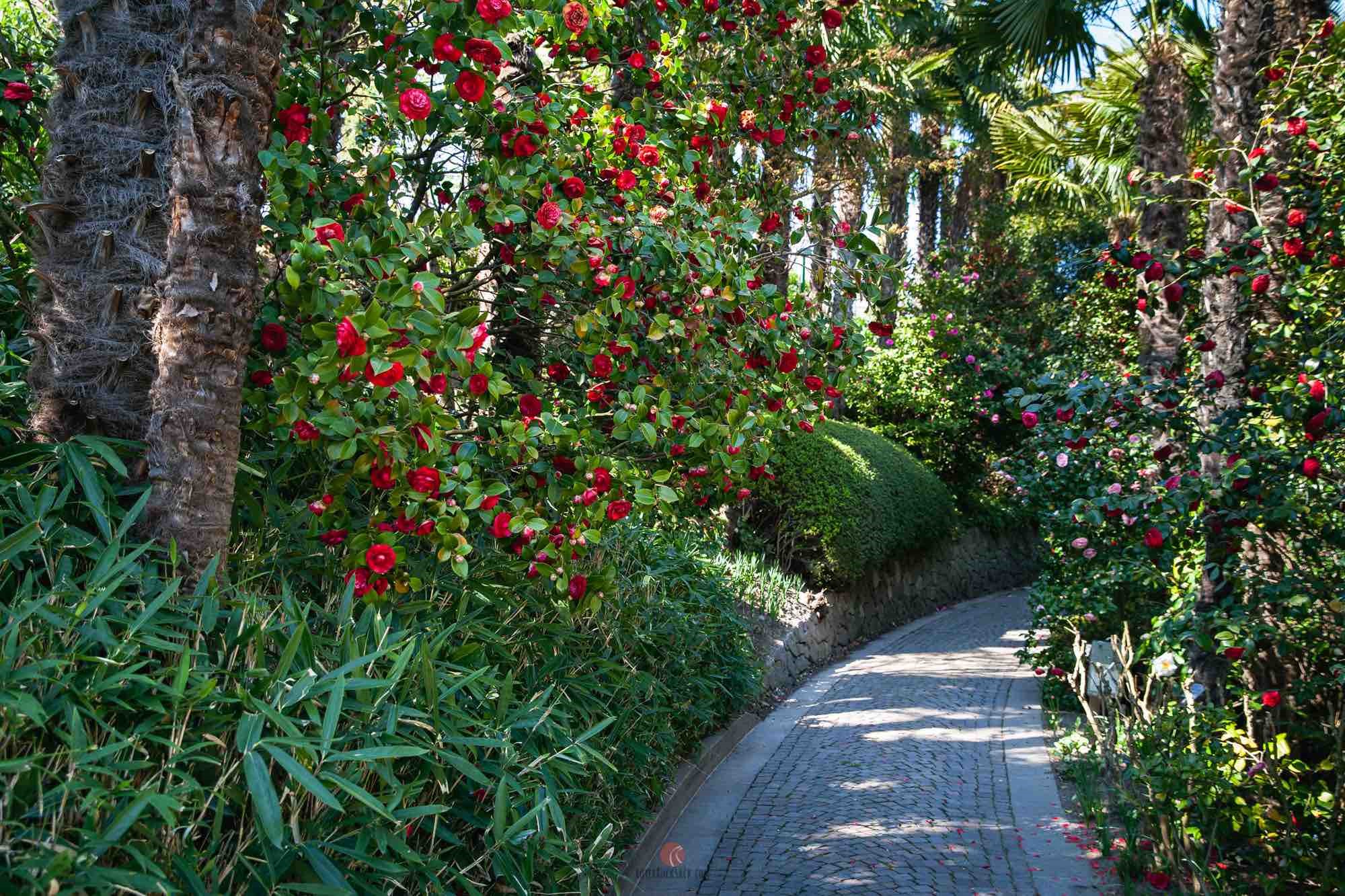 Castel Trauttmansdorff