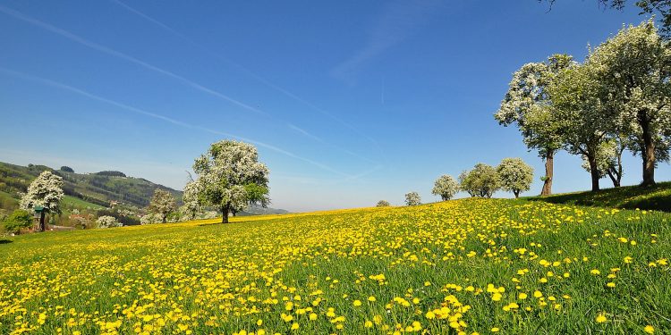 Perché viaggiamo… Considerazioni in libertà!