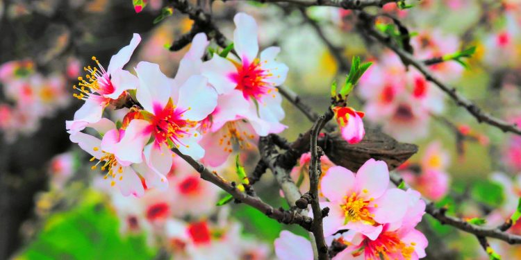 Buon Primo Maggio da Turismo Itinerante!