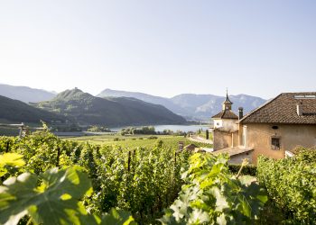 Tanti itinerari estivi per camminare, pedalare e respirare in Alto Adige