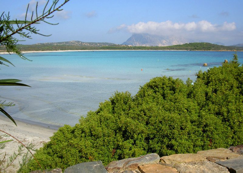 Nuova Convenzione Tessera Turit con il Villaggio Camping Calacavallo (SS)