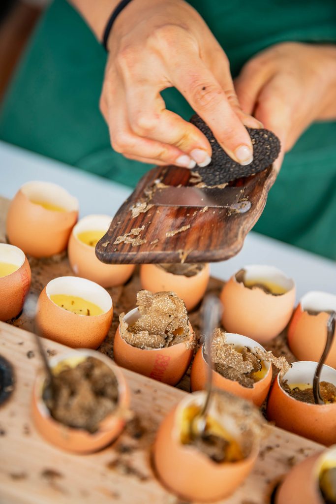 Cortina Summer Party