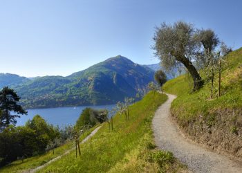 Qualche idea per passare al meglio Ferragosto e dintorni!