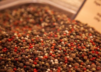 I sapori d’Europa tornano nelle piazze di tutta Italia