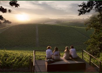 Vendemmia da vivere! In Monferrato esperienze dirette tra cantine filari