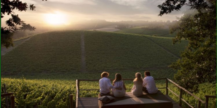 Vendemmia da vivere! In Monferrato esperienze dirette tra cantine filari