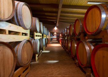 Domenica 27 Settembre a Modena la festa delle Acetaie Aperte