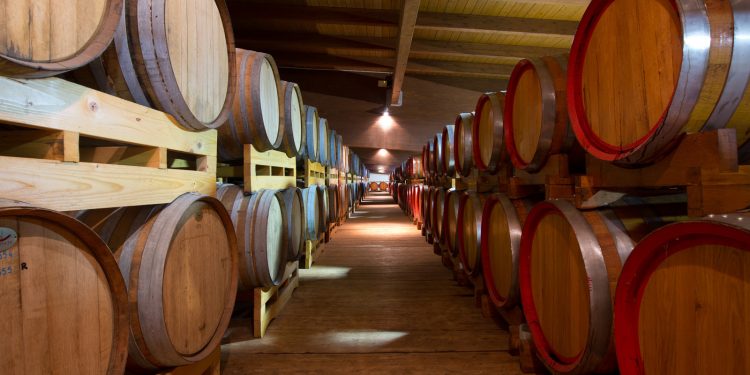 Domenica 27 Settembre a Modena la festa delle Acetaie Aperte