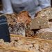 Le golosità del Trentino Alto Adige in mostra al Mercato del pane e dello strudel