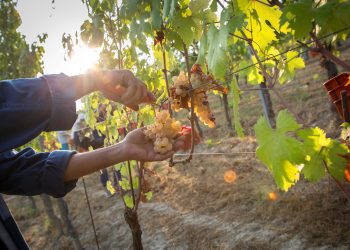 I migliori eventi da non perdere in questo fine settimana