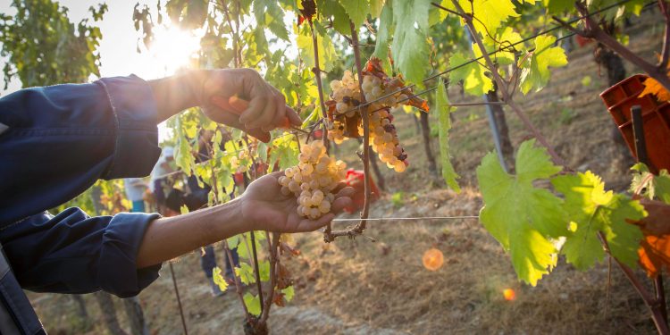 I migliori eventi da non perdere in questo fine settimana