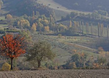Il foliage nelle Marche: un tuffo tra i colori d’autunno