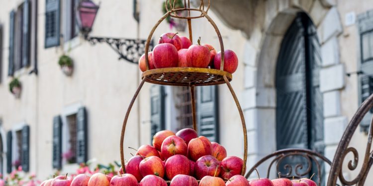 “Magici Intrecci Autunnali” – Artigianato d’eccellenza nella cornice incantata del Castello di Strassoldo di Sopra (UD)