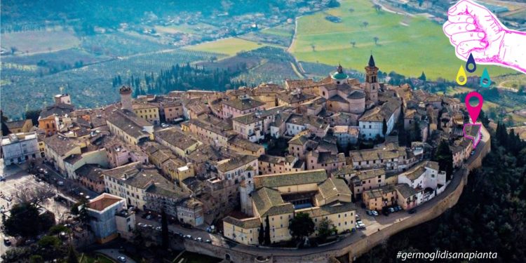 “Di Sana Pianta”: a Trevi si festeggia la natura in occasione della della Mostra Mercato del Sedano Nero
