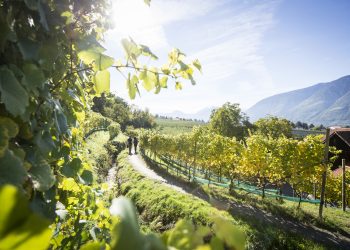 A Merano gli eventi autunnali del Ringraziamento