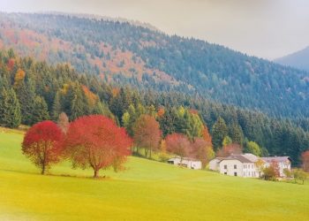 Asiago Foliage: sull’Altopiano più esteso d’Europa si celebrano i colori dell’autunno