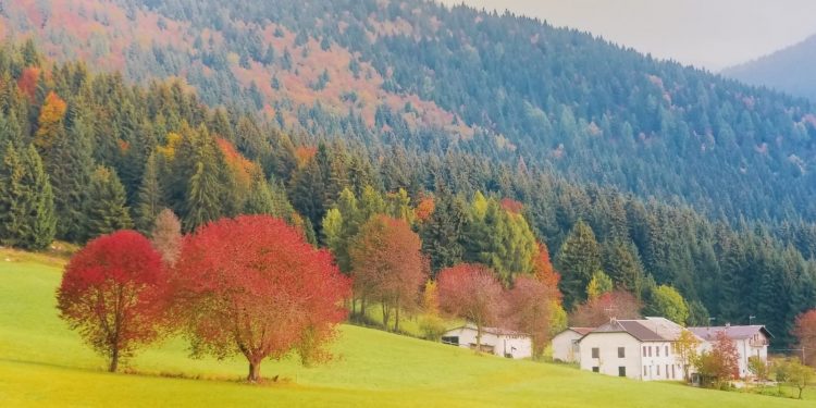 Asiago Foliage: sull’Altopiano più esteso d’Europa si celebrano i colori dell’autunno