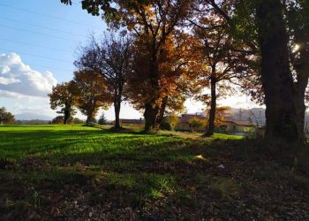 I migliori eventi da non perdere in questo fine settimana