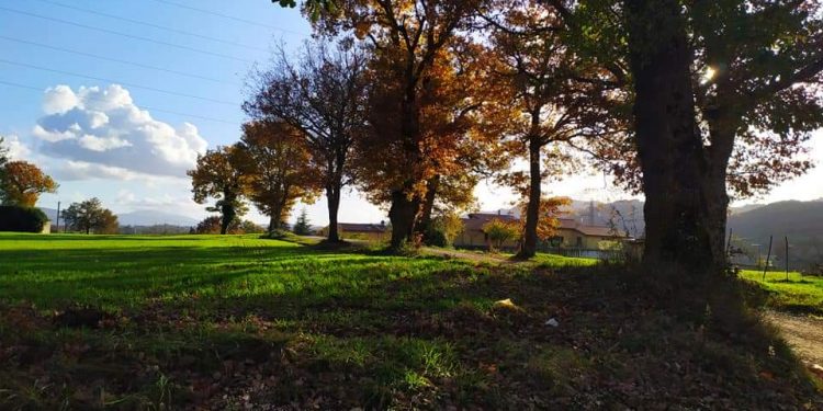 I migliori eventi da non perdere in questo fine settimana