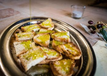 Nel prossimo fine settimana al via Frantoi Aperti