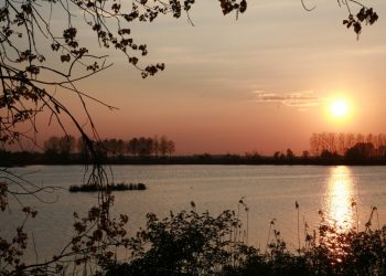 Esplorazioni d’autunno nelle Valli di Argenta (FE)